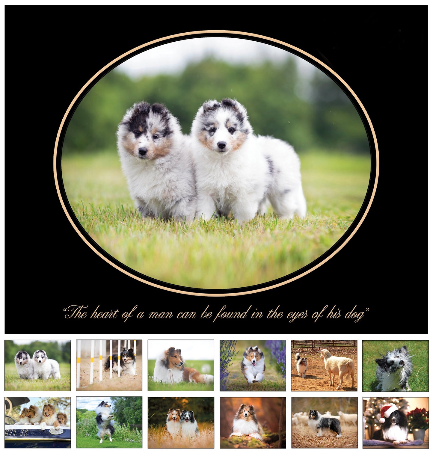 Sheltie Calendar