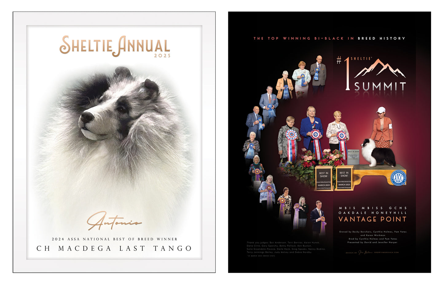 Sheltie Annual