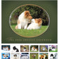 Sheltie Calendar