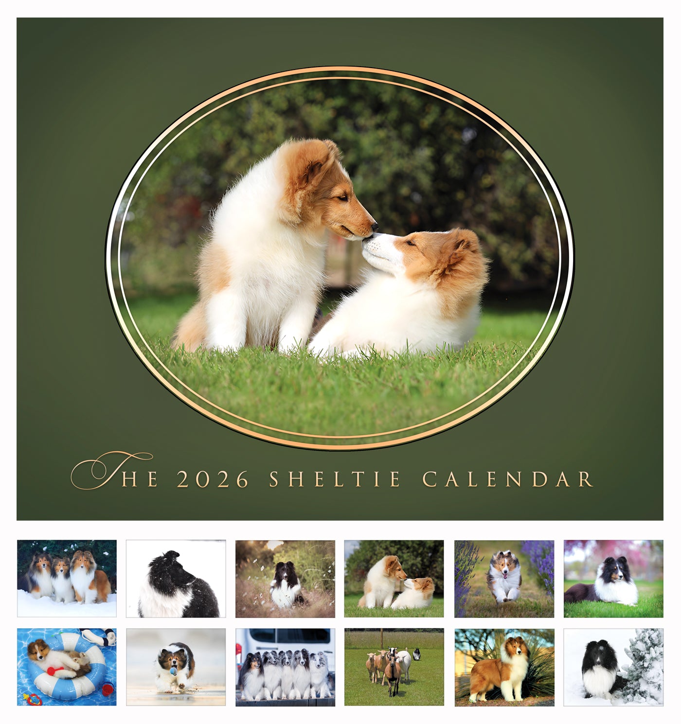 Sheltie Calendar