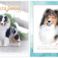 Sheltie Annual