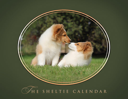Sheltie Calendar